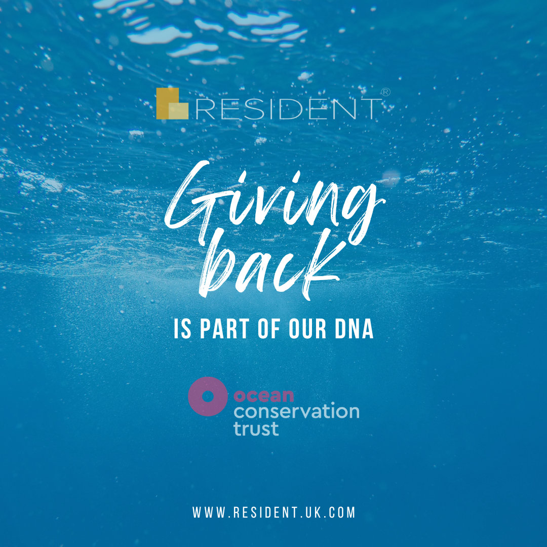 Giving back is part of our DNA